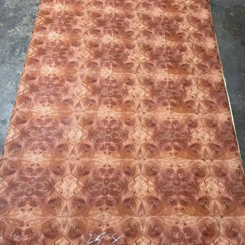 Red Camphor Tree Burl Veneer